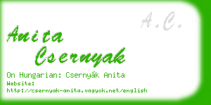 anita csernyak business card