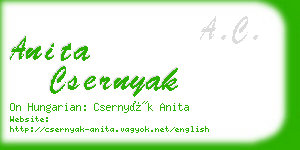 anita csernyak business card